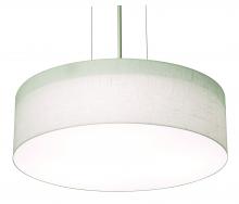 AFX Lighting, Inc. ANP1214LAJUDSN-LW - Anton 12'' LED Pendant - SN and LW