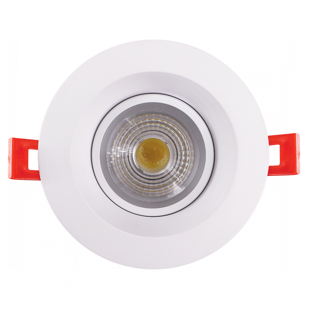 LED12W/RDL4/GB/5CCT/FL