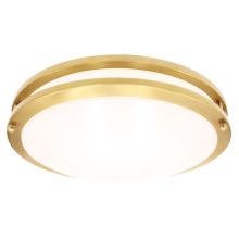 Luxrite LR23297 - LED14"FLUSH/DR/BRS/5CCT/D