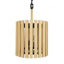 Varaluz 387P02MBH - Suratto 2-Lt Pendant - Matte Black/Honey Blonde