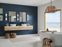 PROG_Coastal_Bathroom_P710116-015_3D_appshot.jpg