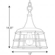 PROG_P500236dimensions_lineart.jpg