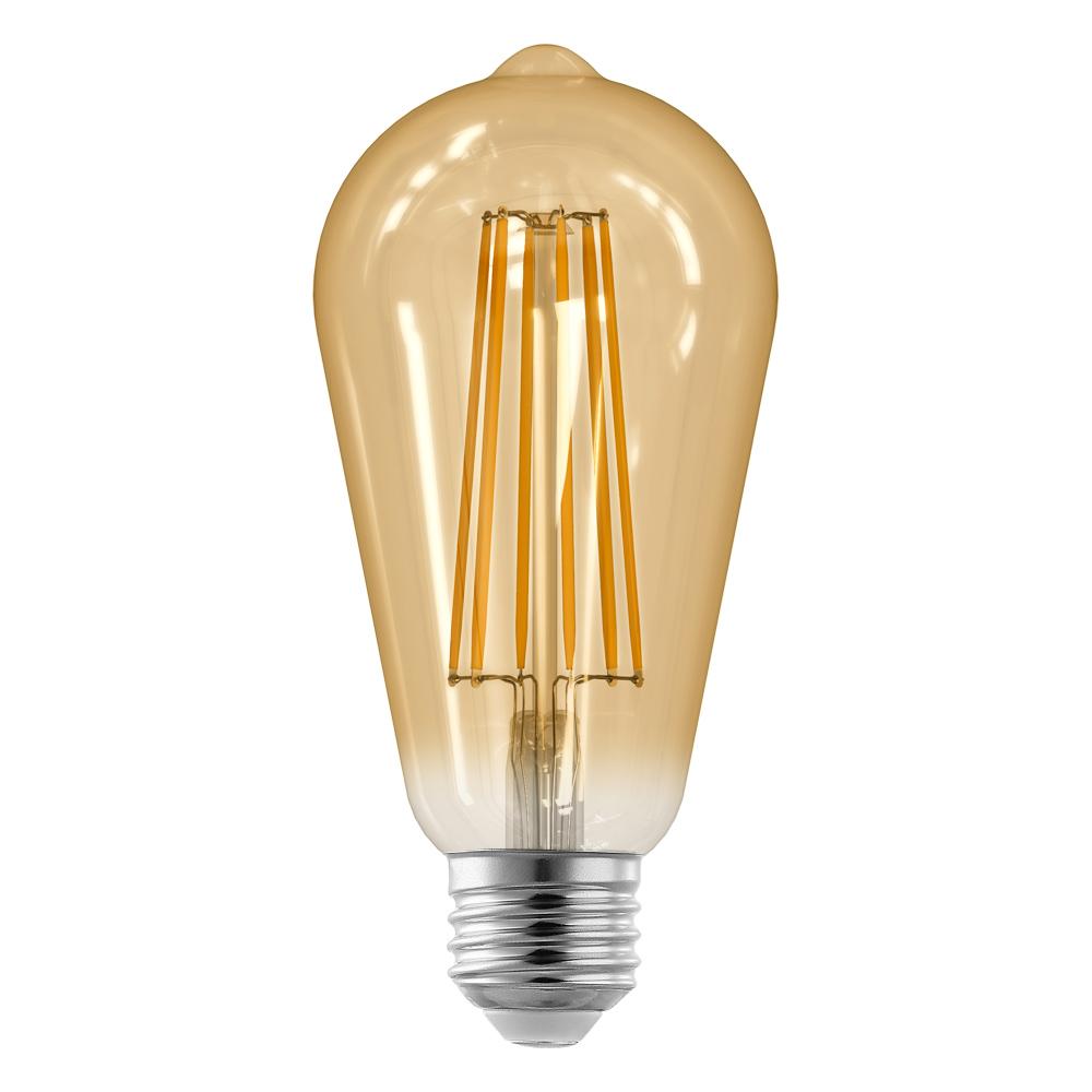 LED Light Bulb ST21 E26 (10 pack)