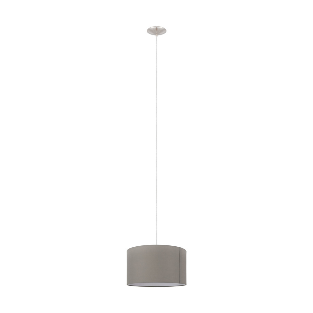 1L Pendant Light