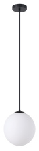 Eglo 206425A - 1L Pendant Light