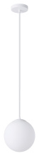 Eglo 206427A - 1L Pendant Light