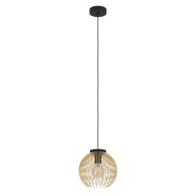 Eglo 900166A - 1L Pendant Light