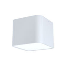 Eglo 99281A - 1L Flush Mount