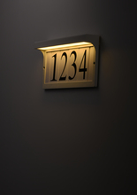 53610WT_3.jpg