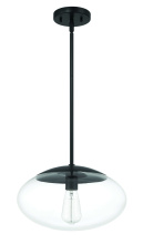 Craftmade 56894-FB - 1 Light Large Oval Pendant with Clear Glass