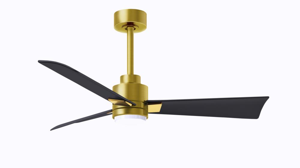 Alessandra 3-blade transitional ceiling fan in brushed brass finish with matte black blades. Optim