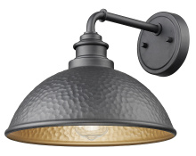 Acclaim Lighting 1031BK - 10.5 in. 1-Light Hammered Black With Matte Gold Interior Outdoor Wall Lantern