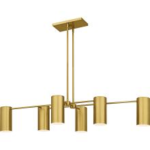 Quoizel FLD650BRG - Foreland Island Chandelier