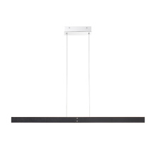 Eurofase 44298-012 - Verdura-Chd-42In-Blk-Wh