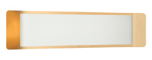 Matteo Lighting S10524WHAG - KUMILO Wall Sconce