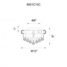 CWI-8001C12G-31.jpg