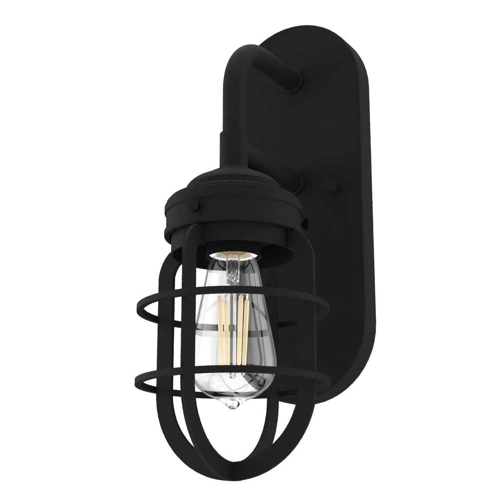 Hunter Starklake Natural Black Iron 1 Light Sconce Wall Light Fixture