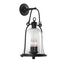 Troy B9463-TBK - Owings Mill Exterior Wall Sconce