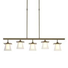 Hubbardton Forge 136605-SKT-STND-84-ZU0284 - Wren 5 Light Pendant