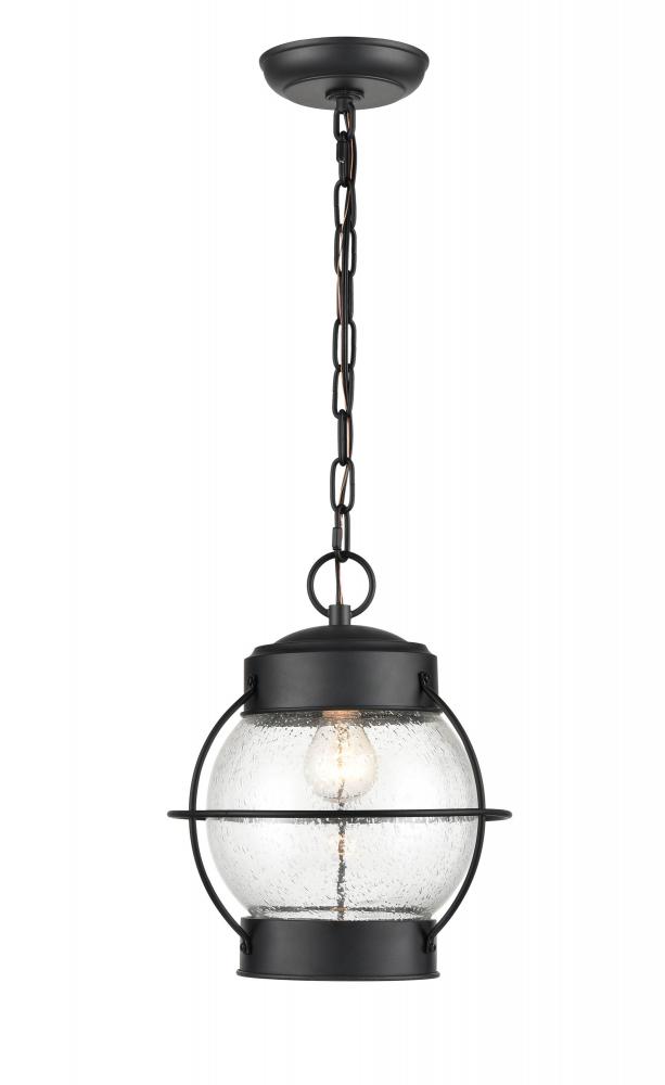 Aremelo 1-Light Outdoor Hanging Lantern Powder Coated Black