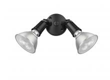 Millennium 16002-PBK - 2-Light Security Flood Lights Powder Coated Black