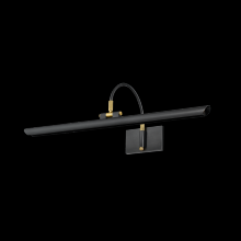 Mitzi by Hudson Valley Lighting H836101L-AOB - ELOWEN Picture Light