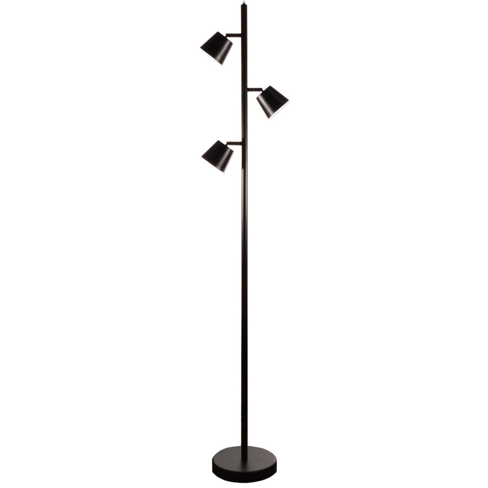 3 Light LED Floor Lamp, Matte Black Finish