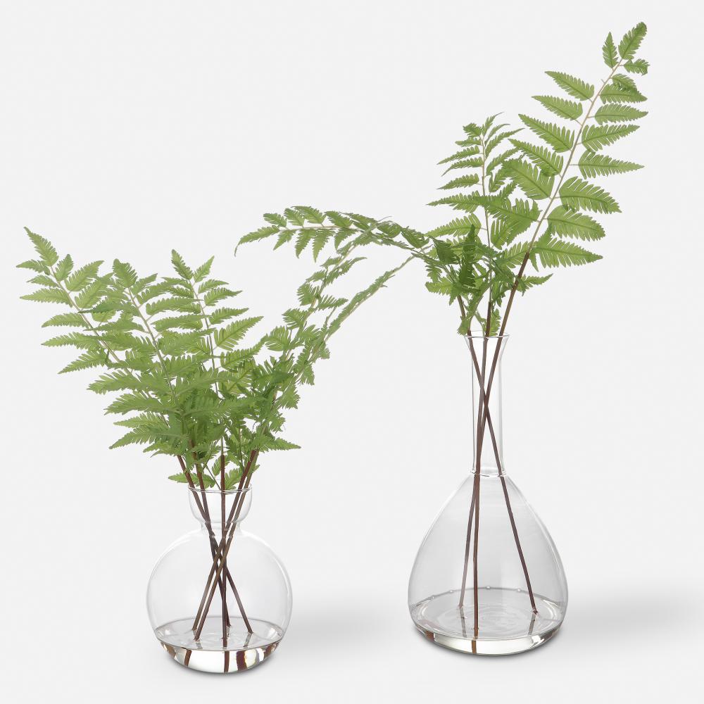 Country Ferns, S/2