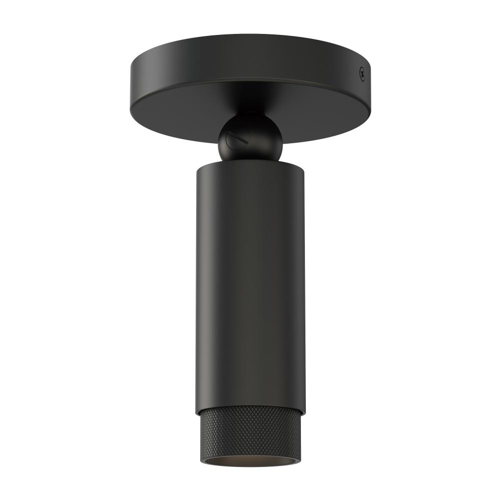 Cleo-Flush Mount