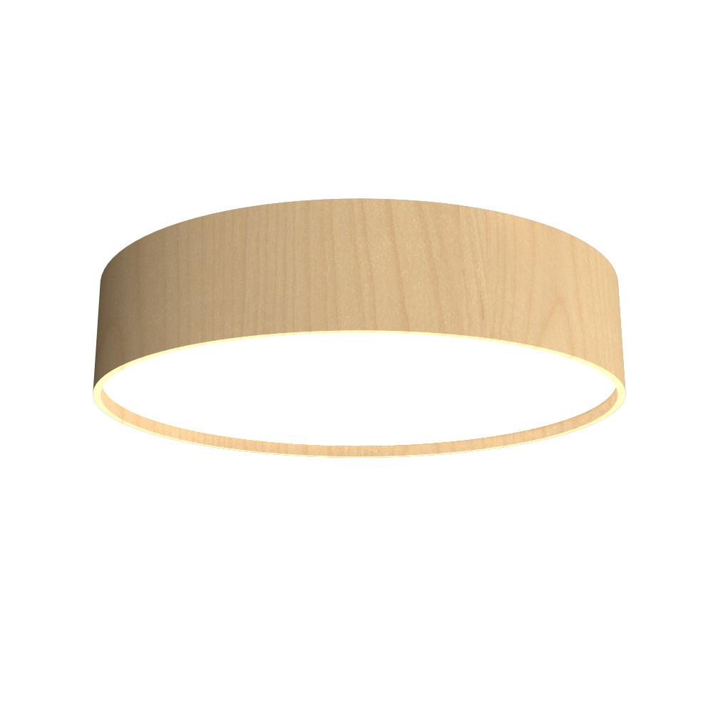 Cylindrical Accord Ceiling Mounted 528 LED